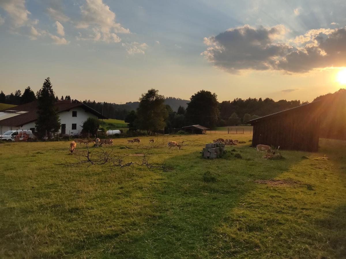 Pension Bachlhof Fursteneck エクステリア 写真
